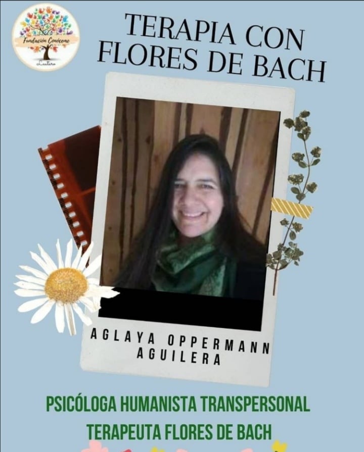 Terapia Flores de Bach 17 257561841 608336080584915 4948894028740889970 n