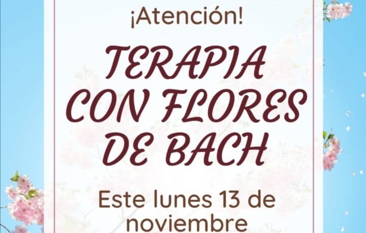Terapia de flores de Bach 16 264864503 623882199030303 9053366679670169437 n