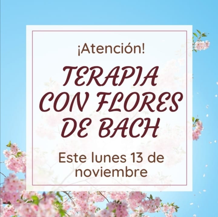 Terapia de flores de Bach 10 264864503 623882199030303 9053366679670169437 n