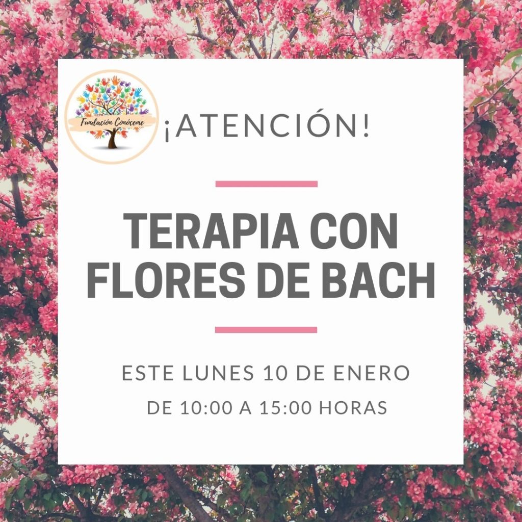 ¡Atención! Terapias con Flores de Bach 13 271545322 641043737314149 7565030988681784052 n