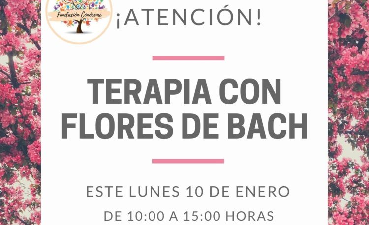 ¡Atención! Terapias con Flores de Bach 4 271545322 641043737314149 7565030988681784052 n
