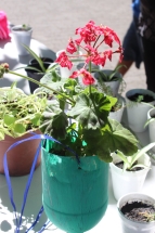 86341916_174741287277732_6496760148327923712_n