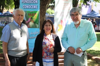 86356058_174746593943868_4751026993871454208_n