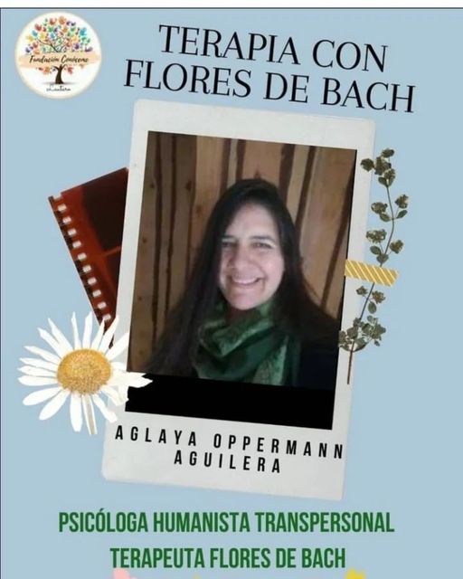 Terapia con Flores de Bach 1 273765558 661393168612539 5850520927641371687 n 1