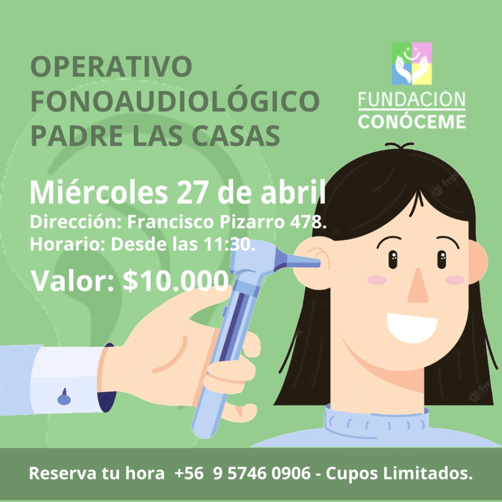 Operativo Fonoaudiológico Padre Las Casas. 2 Nuevo proyecto51