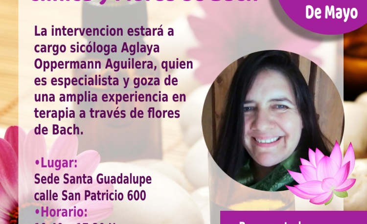 Atención de Psicología Clínica y Terapia de Flores de Bach. 6 Nuevo proyecto